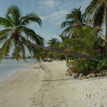 El Pescador Hotel San Pedro  Létesítmények fotó